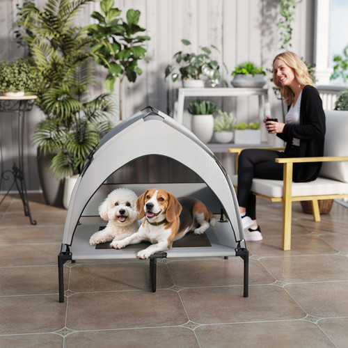 Dog house - dog,