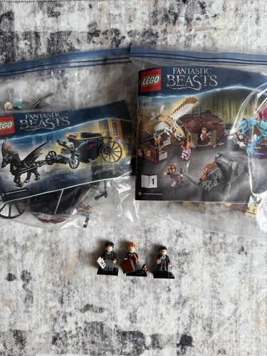 Lego harry potter - harry, fantastic
