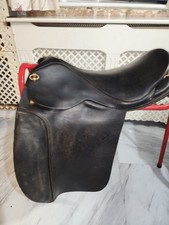 Icelandic Saddle