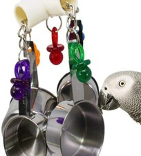 Pan Clacker Parrot African