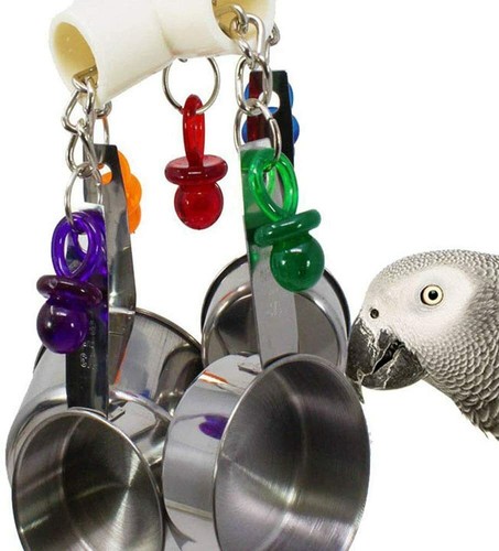 Pan clacker parrot - pan,
