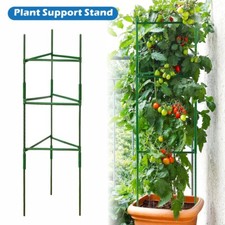 Tomato Plant Stem Support