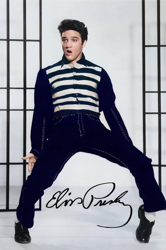 Elvis presley signed autograph - elvis,