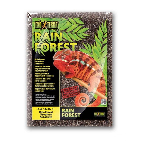 Exo terra reptile - reptile, forest
