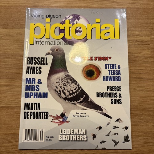Racing pigeon pictorial - pigeon,
