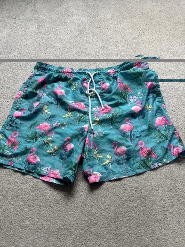 Men flamingo printed - printed, swim