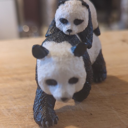 Panda bear with cub plastic - panda,