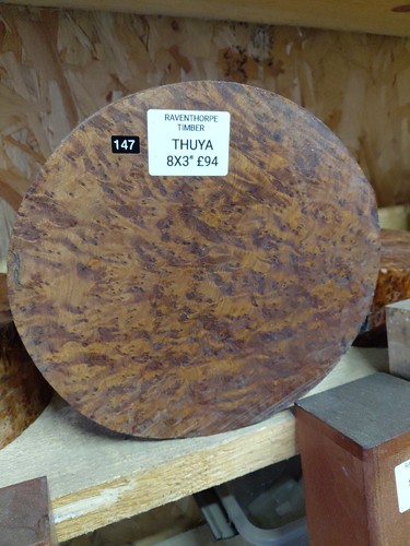 Thuya burr 8 x 3 - 1,