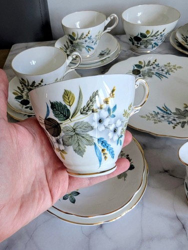 Fine bone china regency - fine,
