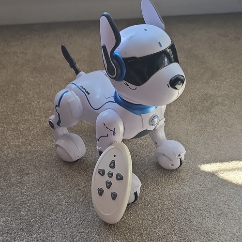 Future electronic robot - future,