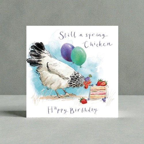 Spring chicken happy birthday - chicken,