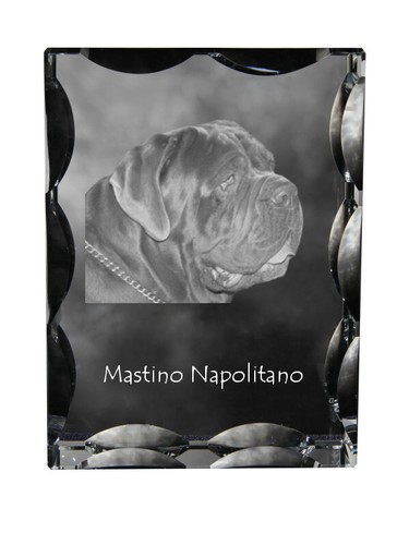 Mastino napoletano neapolitan - napoletano,,