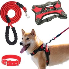 3 Pcs Dog Harness and Lead