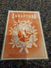 rave flyer - enrapture -