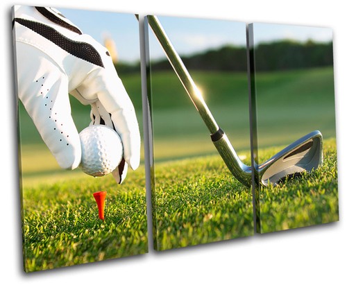 Golf tee shot sports - tee, treble