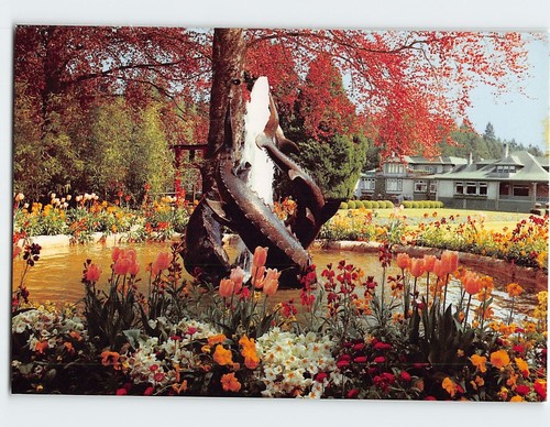 Postcard the dolphin fountain - postcard,