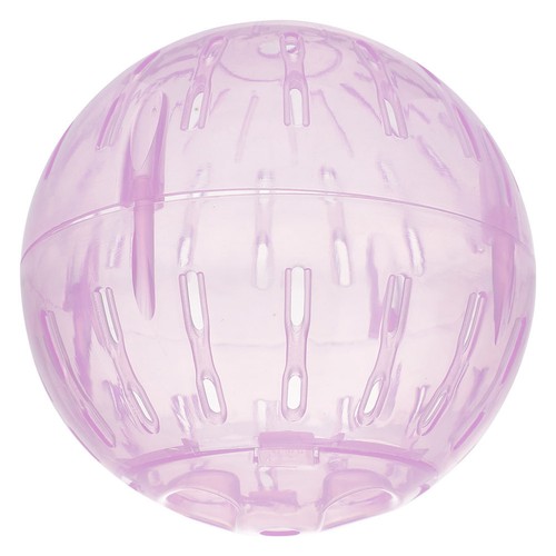 Clear hamster exercise balls - hamster,