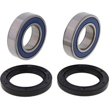 ANT ALL BALLS 25-1273 WHEEL