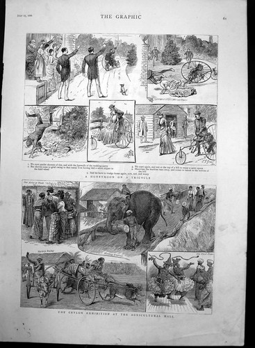 Old antique print - print, on