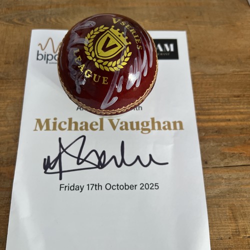 Michael vaughan mathew - michael, &