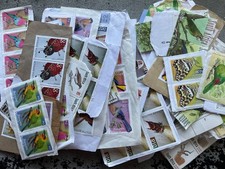 South africa collection - south,