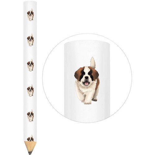 Bernard puppy dog - x, dog'