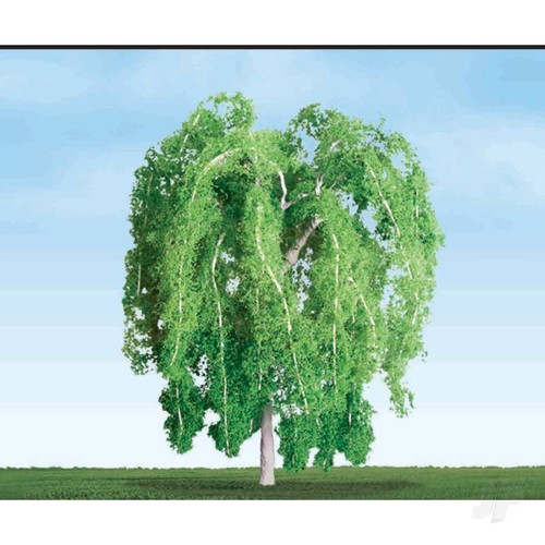Weeping willow 2in 3 - 2-1/2in,, (3