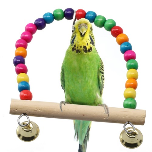 Parrot swing for bird cage - parrot,