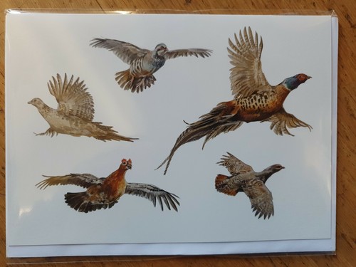 Game birds partridge grouse - game,