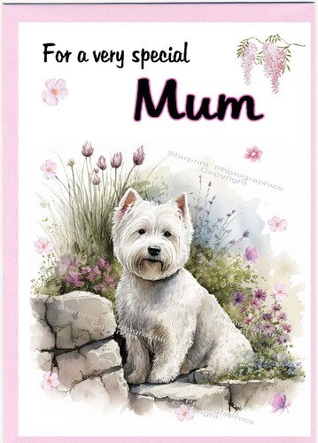 Westie west highland terrier - westie/west,