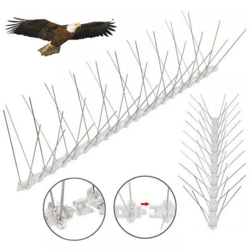 10m pigeon bird spikes metal - pigeon,