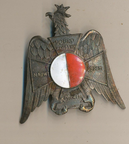 Polish regimental badge - regimental, police