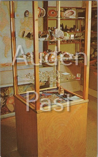 Jewellery display case - case, museum