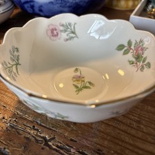 Aynsley Fine Bone China "Wild