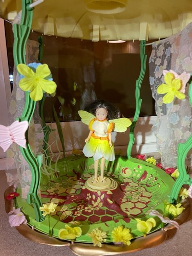 Flower fairy narcissus - flower,