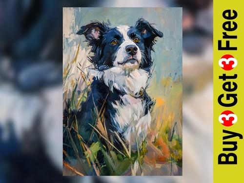 Border collie portrait print - border,