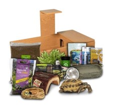 Swell Reptiles Tortoise