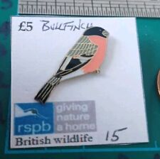 Bullfinch Pin. RSPB Bird