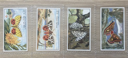 Complete set 12 - a,