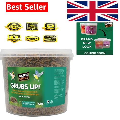 Grubs black soldier fly - up,