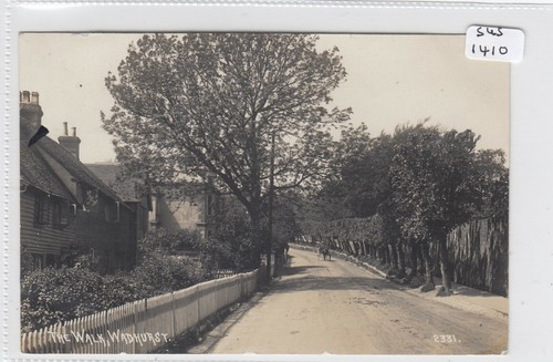 Wadhurst sussex the walk - the,