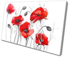 Floral Poppies Flowers  SINGLE