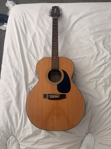 Takamine 230 acoustic - takamine, eg-230