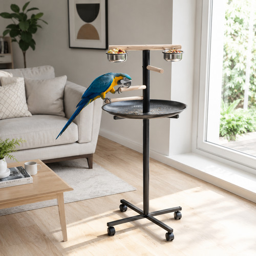 Bird perch stand large parrot - stand,