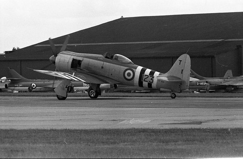 Hawker sea fury tf596 - fury,