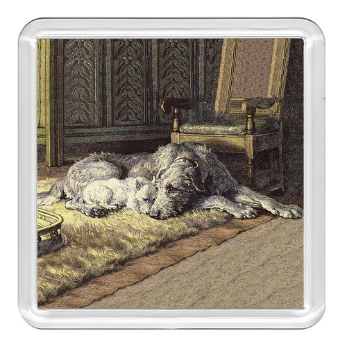 Irish wolfhound westie - westie, terrier