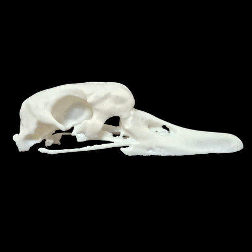 Replica resin swan - replica,