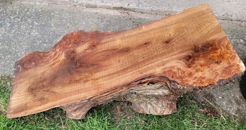 Timber scottish burr elm - timber,