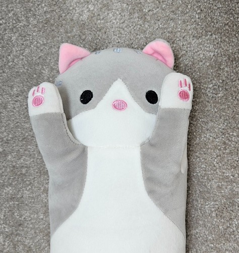 Cute soft cat - cute,