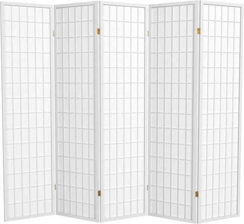 Tall window pane shoji screen - window,